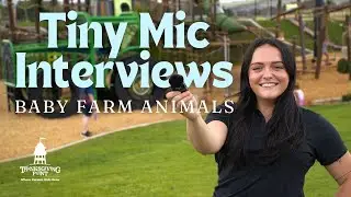 Tiny Mic Interviews with Baby Farm Animals