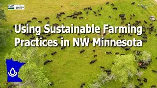 Using Sustainable Farming Practices in Northwestern Minnesota