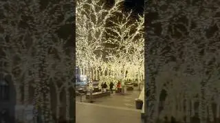 ▶️ Christmas Lights & Christmas Trees At Zuccotti Park. Lower Manhattan, NYC. Sunday Night 12/14/25