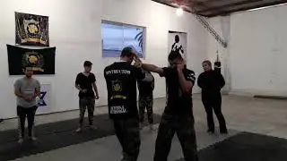 Defensa personal integral