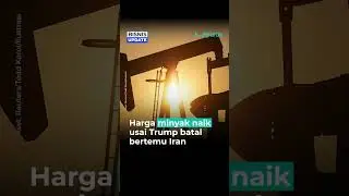 IHSG Tembus 9.012, Emas & Timah Cetak Rekor Baru