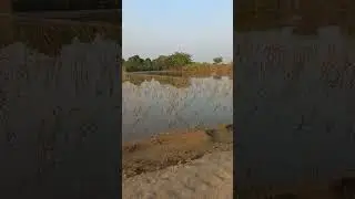 #Azmatpur #Alipur #trending #unfreezmyaccount #villagelife
