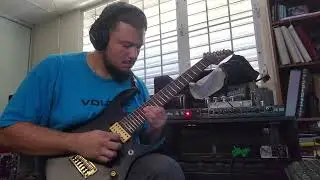 Peavey Valveking Repair