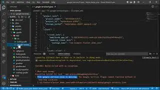 How to correct file Google services JSON is missing
