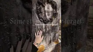 Inspiration for a future painting. #gothart #ghostart #artist #goth #cemetery