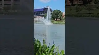 Newman Lake in James Madison University
