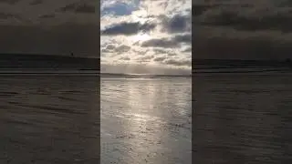 A leaf dancing in the wind on Leven Beach #leafdance #beachvibes #relaxing #calming