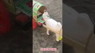 DIY BULLOCK CART,#shorts_