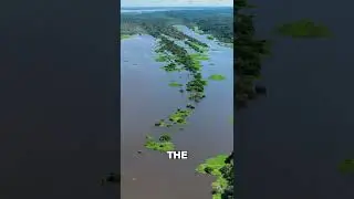 Why the Amazon River Has No Bridges #Shorts #Facts #DidYouKnow #QuickFacts