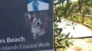 Digger Beach Coffs Harbour