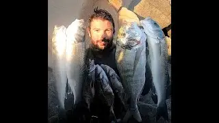 PESCA SUB - Robalos e Douradas (Inverno 2021) / Sea Bass & Gilthead sea bream (Winter 2021)