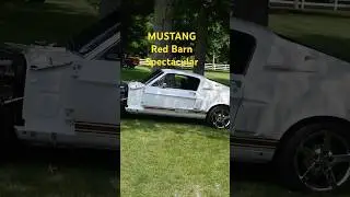 MUSTANG at the Red Barn Spectacular Hickory Corners Michigan