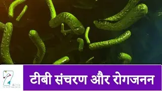 TB transmission and pathogenesis | TB TRANSMISSION & PATHOGENESIS | Hindi