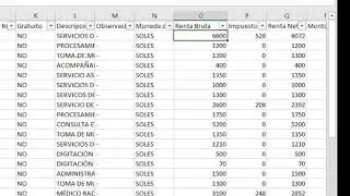 CARGA MASIVA DE RECIBOS DE HONORARIO RH PLAME CON MACRO EN EXCEL