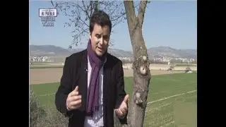 Juan Pinilla por fandangos en Hu&eacute;tor T&aacute;jar | Flamenco en Canal Sur