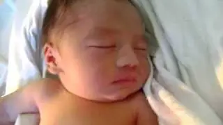 XHYR MARTIN PITT
