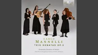 Sonata Vi. 