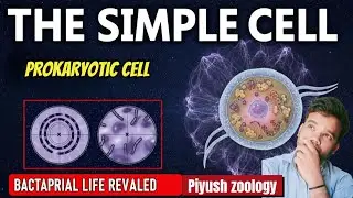 Prokaryotic cell #b.sc #neet #bacterialcell #prokaryoticcell