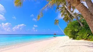 🏝 Paradise Found: Wild Beach and Crystal Ocean Waters. Relaxing Ocean video 4K Ultra HD