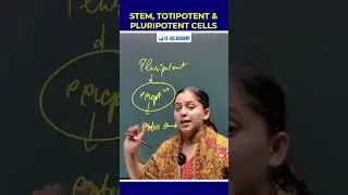 Stem, Totipotent & Pluripotent Cells #upsc