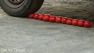 EXPERIMENT CAR VS TOMATO CRUSHING