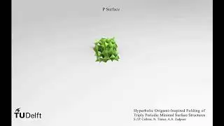 Folding of a P minimal surface, TU Delft, Prof. Amir A. Zadpoor's group
