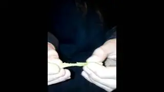 gold hash #cannabishash #resin #estractioncannabis