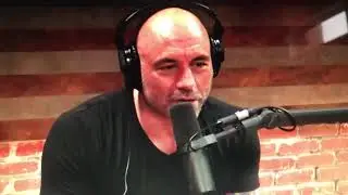 Joe Knows Layla