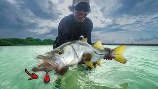 48 Hrs Fishing For BIG Snook On Swimbaits & Topwater Lures