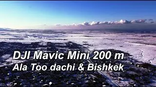 DJI Mavic Mini - Frost And Sunshine Wonderful Day || Мороз и солнце день чудесный, дачи зимой