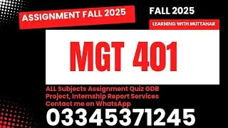 Mgt401 assignment solution fall 2025