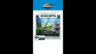 BETTA BASICS da Seachem para o seu aqu&aacute;rio de Betta