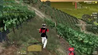 vineyard pov loss