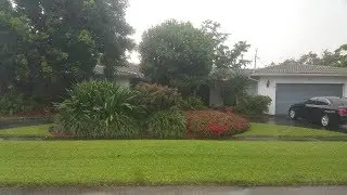 4910 Jefferson St, Hollywood, FL 33021