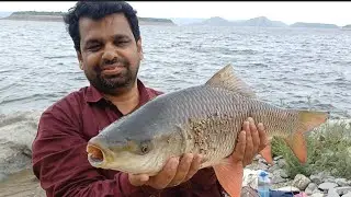 Krishna river fishing video latest Big rohu fish catch
