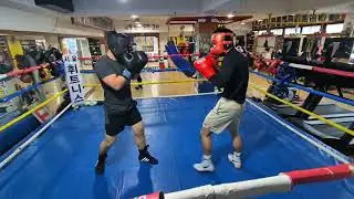 3분3라운드 풀스파링 선수준비하는 23세 (홍)67kg VS 18세 75kg