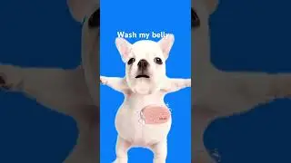 I am pibble