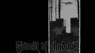 Forest Of Shadows - Bleak Dormition(cover)
