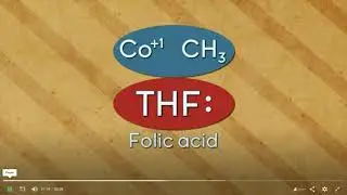 Vitamin B12 (animation) redox and the human body
