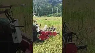 This rice combine harvester improves efficiency in paddy fields