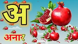 a se anar, aa se aam #hindivarnmala #हिंदीवर्णमाला #असेअनारआसेआम#chunchutv