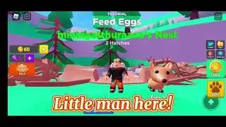 Roblox Pet Swarm simulator codes (2021feb)