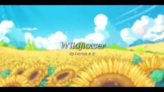 Wildflower (Official Audio)