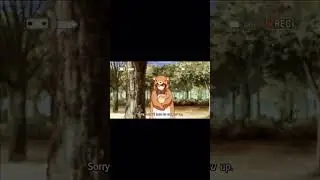 Cute bear girl. anime bear costume  girl #animeshorts #cute #viral #shorts  #onepiece