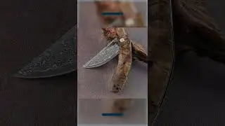 Tomahawk Damascus Pocket Knife with Clip and Exotic Olive Wood Handle
