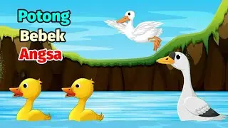 Potong Bebek Angsa 🦤 Bebek Berenang Lucu ~ Lagu Anak Indonesia Populer
