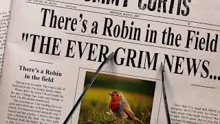 There's A Robin in the Field