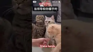 Shake hands #dj #diymusician #hiphop #instamusicians #rap #hiphop #edm