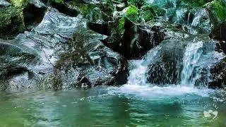 Pure River Flow Ambience in the Dark | Calm Water Sounds for Deep Relaxation