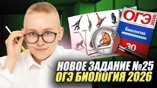 Новый тип 25 задания на ОГЭ по биологии 2026 | Умскул